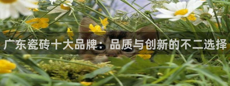 必一运动官网登录入口