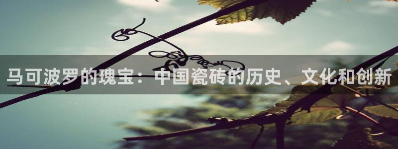 必一体育官网app