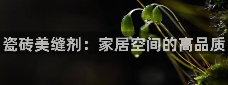 必一体育合法吗