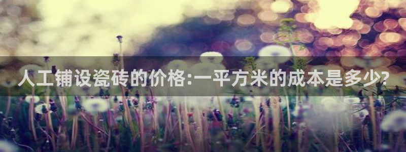 必一体育游戏玩法