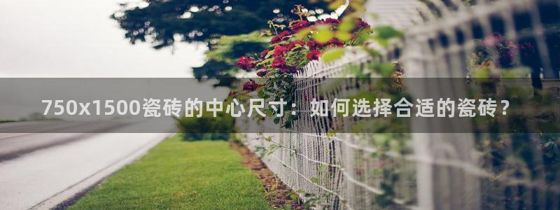 b体育官网下载入口app必一