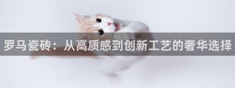 必一体育是哪里的台子