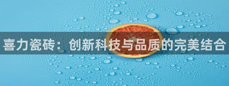 必一体育网页版登录
