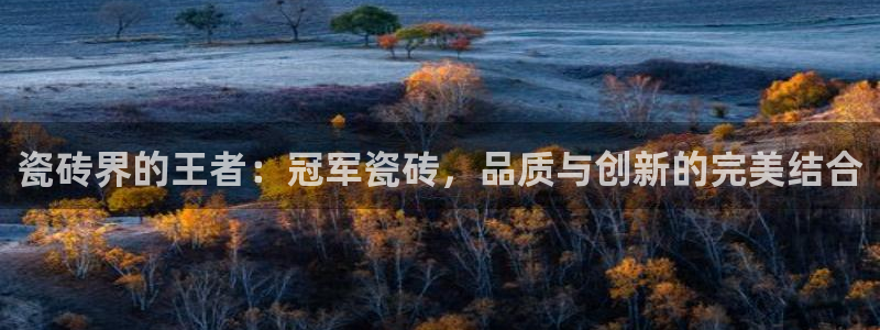 必一体育bsport2023-04-21