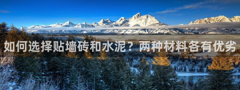 必一体育怎么下载