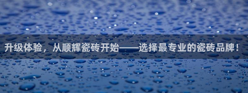 必一体育sport官网