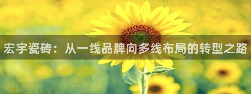 必一体育在线官网
