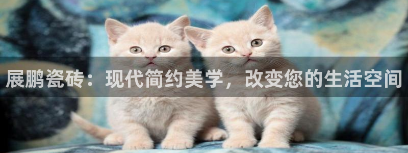 必一体育app官方下载
