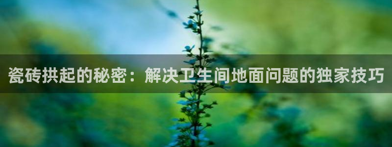 必一体育在线登录