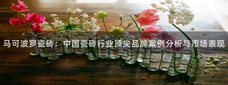 必一运动体