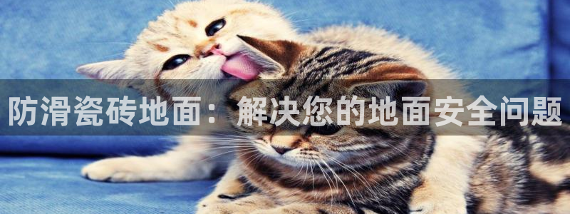 必一体育验证码