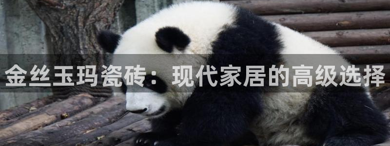 必一体育运动官网