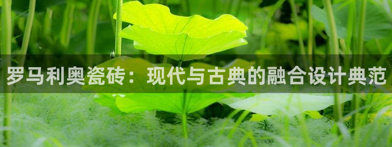 必一体育登录入口APP