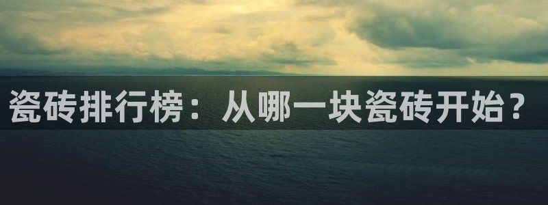 必一体育bsport下载